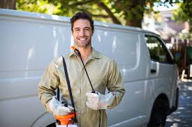 Professional Pest Control in Littlerock, CA